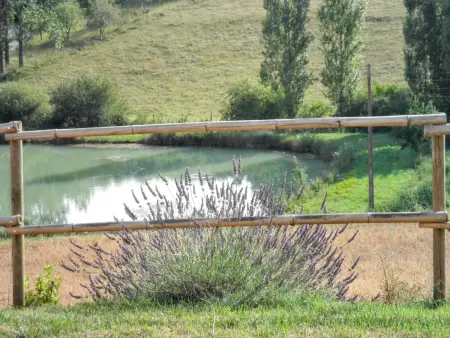 Maison charmante à Molières avec vue sur le lac - Photo 3