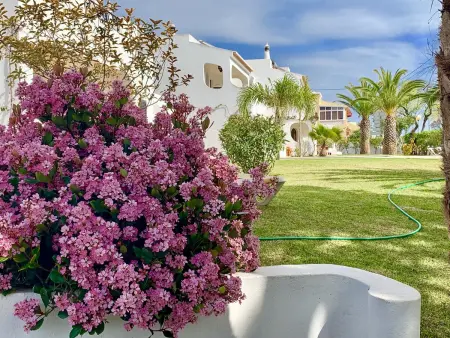 Maison de charme à Carvoeiro + Piscine, Maison 6 personnes à Carvoeiro - Photo 23