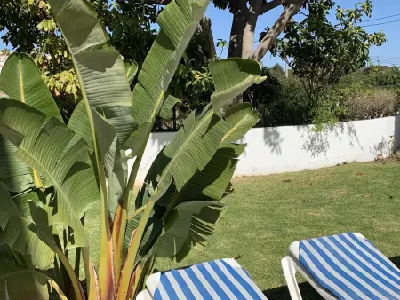 Maison de charme à Carvoeiro + Piscine, Maison 6 personnes à Carvoeiro - Photo 26