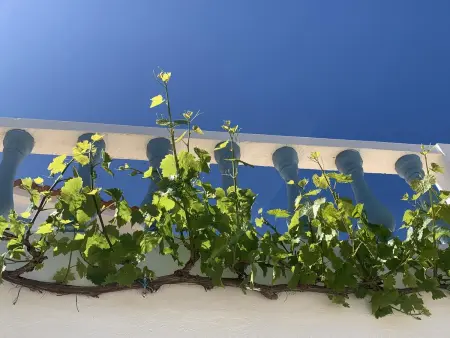Maison de charme à Carvoeiro + Piscine, Maison 6 personnes à Carvoeiro - Photo 29