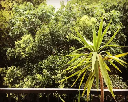Appartement spacieux à Montpellier avec jardin, 78 m² - Photo 1