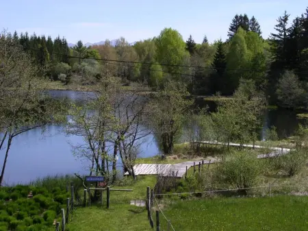 Maison accueillante à Saint-Gènes-Champespe + Vue sur le lac - Photo 24