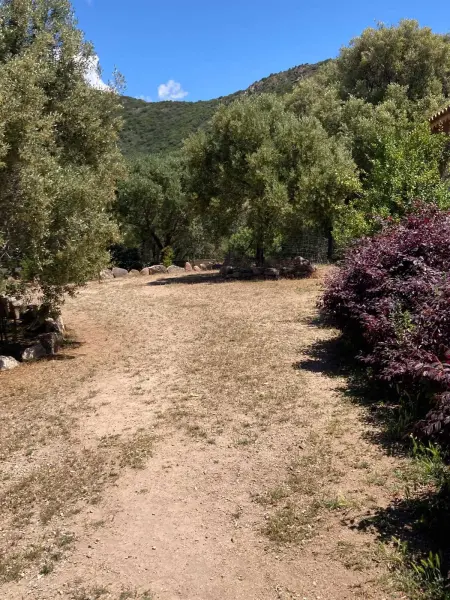 Villa élégante à Sagone avec piscine privée et vue sur la mer - Photo 6