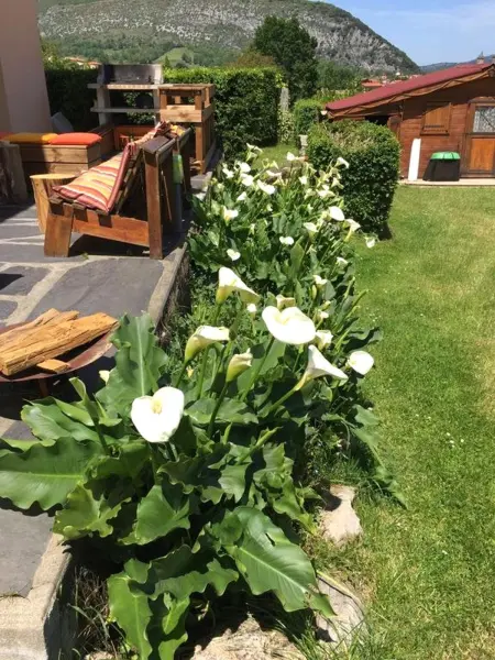 Villa raffinée à Foix – Piscine et Jacuzzi, Villa 12 personnes à Foix - Photo 8