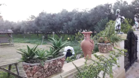 Maison charmante à Siġġiewi + Jacuzzi, Maison 2 personnes à Siġġiewi - Photo 6