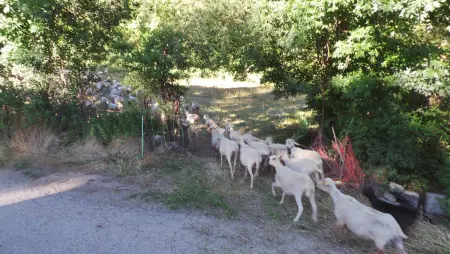 Maison familiale Bellver de Cerdanya, Maison 9 personnes à Bellver de Cerdanya - Photo 47