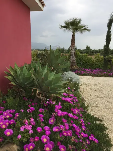 Villa pittoresque à Sciacca avec vue sur la mer et jardin - Photo 8