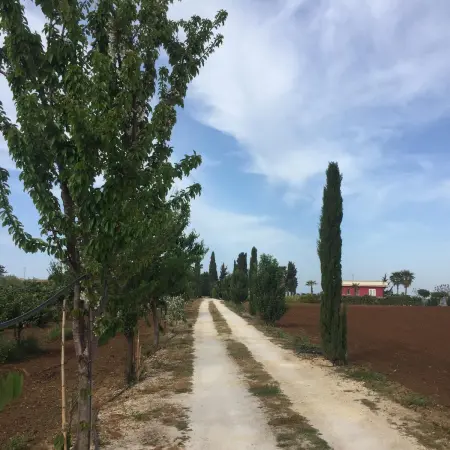 Villa pittoresque à Sciacca avec vue sur la mer et jardin - Photo 10
