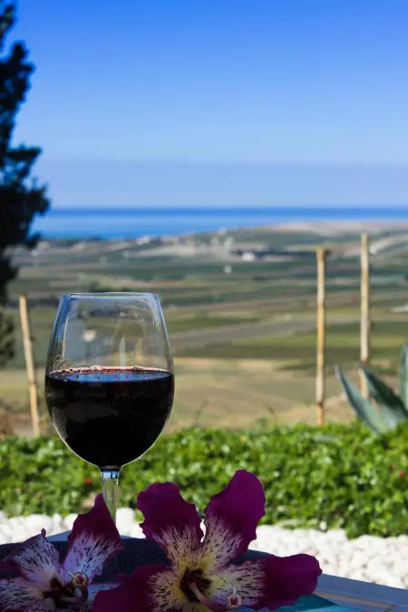 Villa pittoresque à Sciacca avec vue sur la mer et jardin - Photo 15
