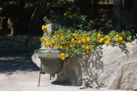 Villa charmante à Olbia avec piscine partagée et jardin - Photo 32