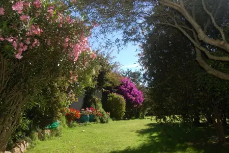 Villa charmante à Olbia avec piscine partagée et jardin - Photo 42
