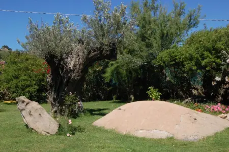 Villa charmante à Olbia avec piscine partagée et jardin - Photo 44