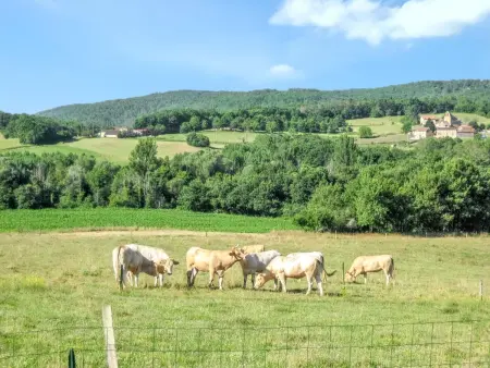 Villa charmante près de Lherm avec piscine privée - Photo 13