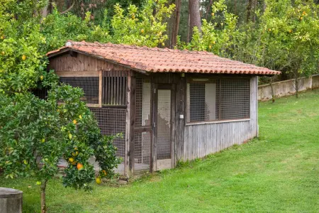 Manoir majesteux à Valença avec piscine privée - Photo 51