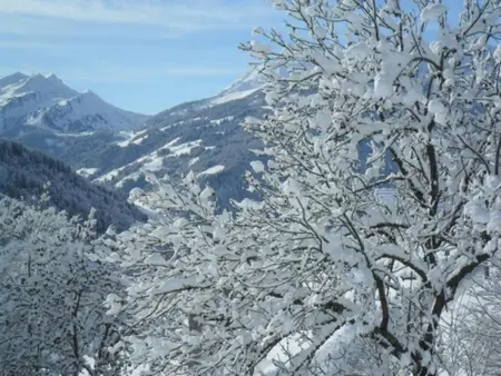 Appartement convivial à Hauteluce 64 m² avec vue sur la montagne - Photo 22