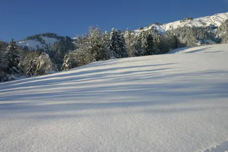 Appartement convivial à Hauteluce 64 m² avec vue sur la montagne - Photo 24