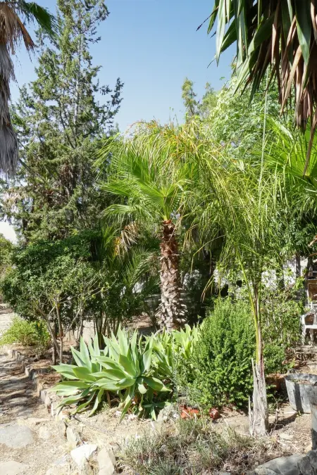 Villa luxueuse à Málaga - Piscine privée, Villa 16 personnes à Málaga - Photo 29