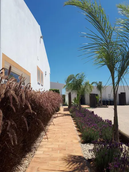 Maison charmante à Faro + piscine, Maison 4 personnes à Faro - Photo 12