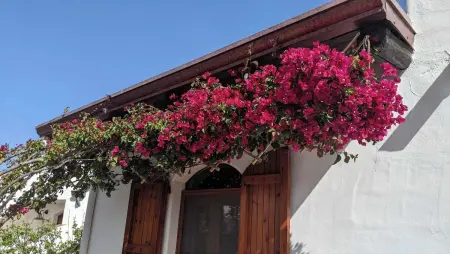 Maison de charme avec vue sur la mer à Valledoria - Photo 1