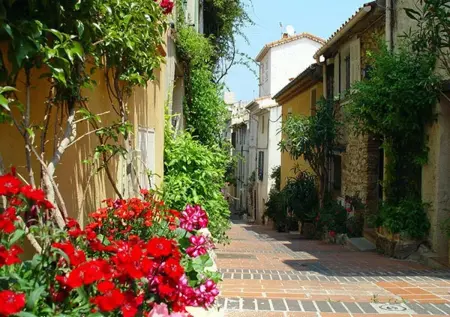 Appartement moderne à Antibes avec jardin et terrasse - Photo 35