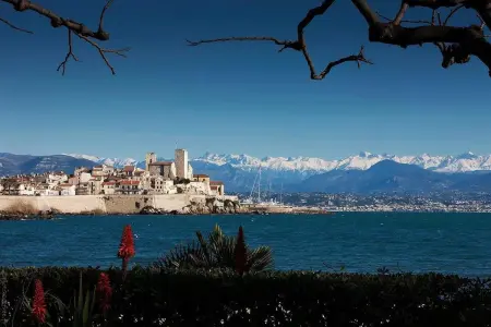 Appartement moderne à Antibes avec jardin et terrasse - Photo 40
