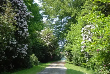 Maison charmante à Jugon-les-Lacs avec jardin, Maison 6 personnes à Jugon les Lacs - Photo 16