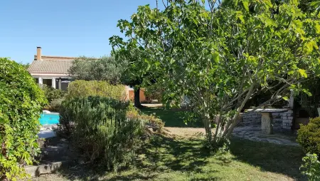 Maison de charme avec piscine privée à Velleron - Photo 4
