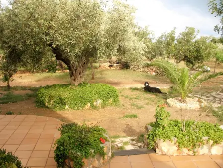 Maison spacieuse à Ampolla + Jardin, Maison 6 personnes à Ampolla, Tarragone - Photo 14