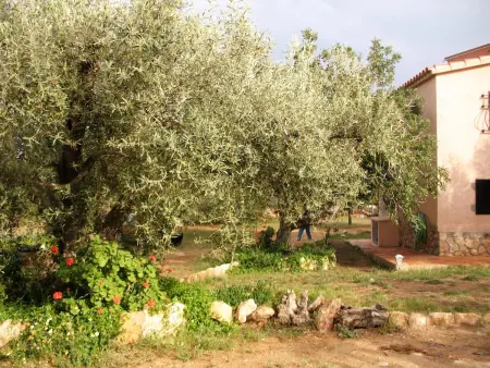 Maison spacieuse à Ampolla + Jardin, Maison 6 personnes à Ampolla, Tarragone - Photo 35
