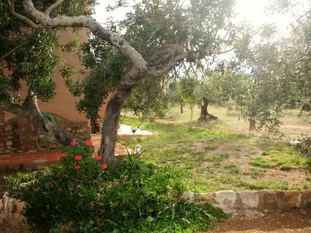 Maison spacieuse à Ampolla + Jardin, Maison 6 personnes à Ampolla, Tarragone - Photo 36