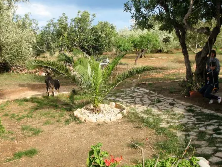 Maison spacieuse à Ampolla + Jardin, Maison 6 personnes à Ampolla, Tarragone - Photo 38