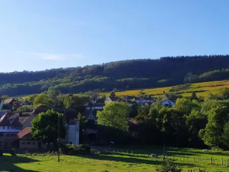Maison de charme à Wangen avec piscine privée et jardin - Photo 26