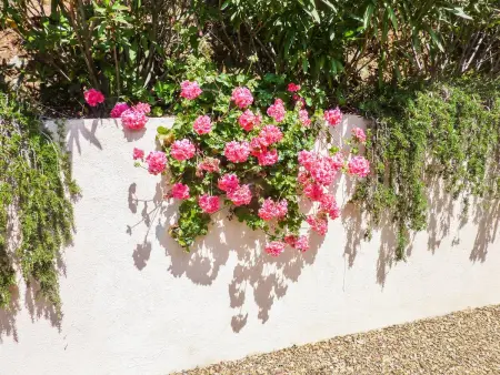 Villa accueillante avec piscine à La Croix-Valmer - Photo 27