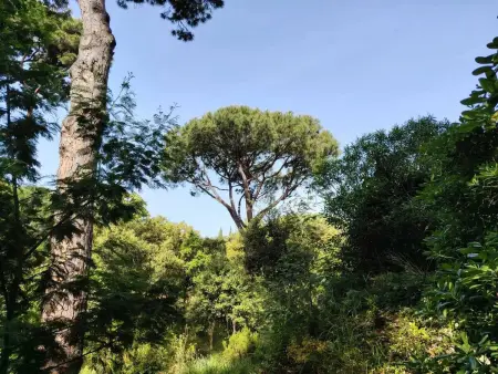 Villa accueillante avec piscine à La Croix-Valmer - Photo 29