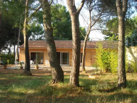 Maison charmante à Aix-en-Provence avec piscine privée - Photo 6