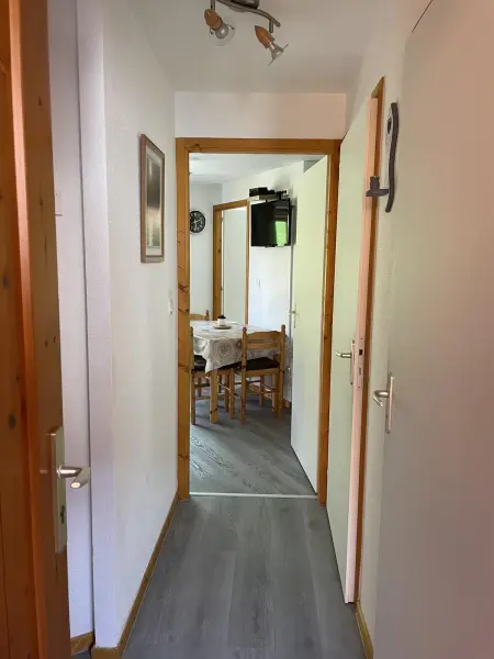Appartement convivial à Thollon-les-Mémises, 35 m², vue montagne - Photo 8