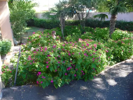 Charmante maison à Vidauban avec jardin clos, Appartement 2 personnes à Vidauban - Photo 5