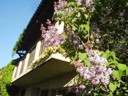 Charmante Villa Provençale avec Piscine Privée - Photo 33