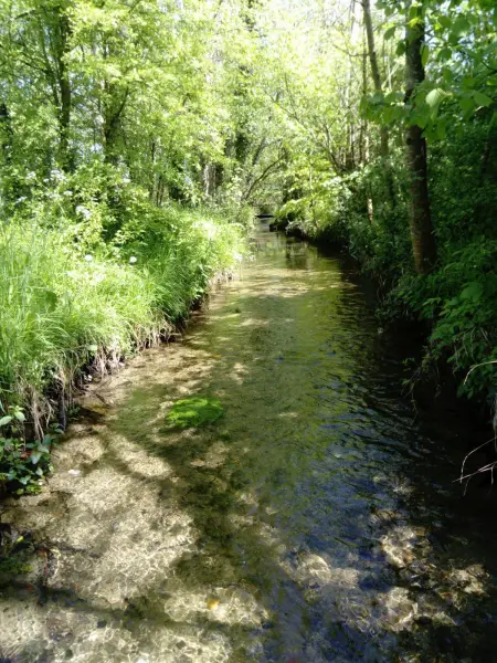 Maison familiale à Lametz avec jardin et équipements de loisirs - Photo 14