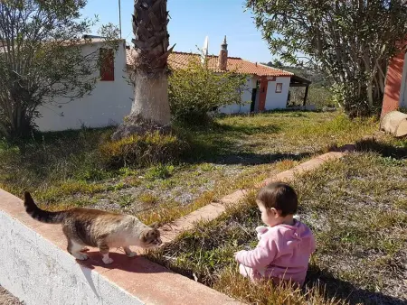 Villa moderne à Loulé avec piscine privée, Villa 6 personnes à Loulé - Photo 35