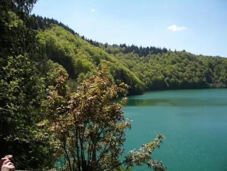 Chalet charmant à Saint-Gènes-Champespe avec parking privé - Photo 10