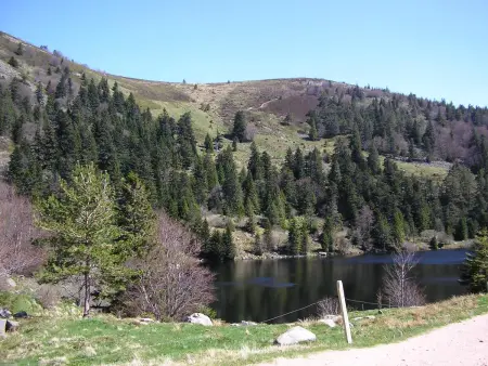 Chalet charmant à Stosswihr avec vue sur montagne + balcon - Photo 21