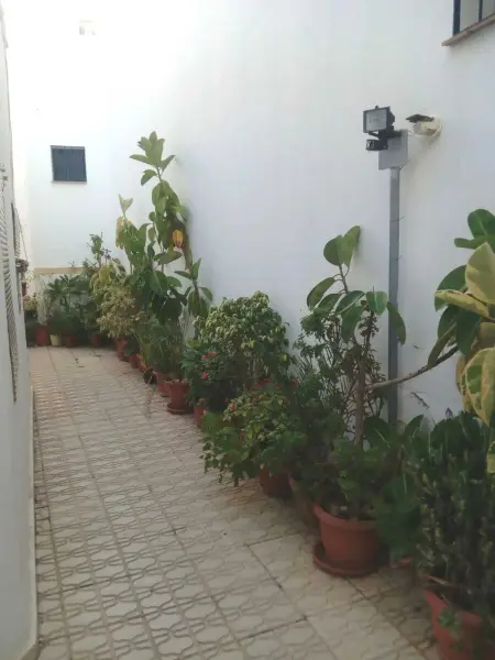 Maison charmante au cœur de Conil de la Frontera + Terrasse - Photo 10