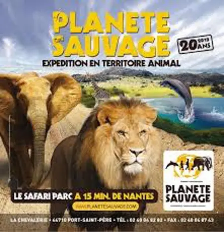 Bungalow confortable à Saint-Jean-de-Monts avec piscine - Photo 32