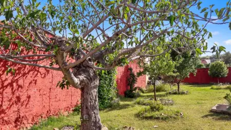 Maison charmante à Picón avec piscine privée. - Photo 29