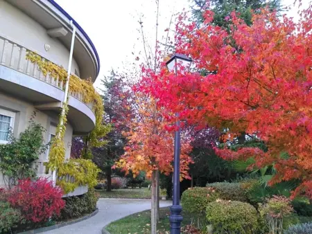 Maison spacieuse avec piscine et jardin à Congosto - Photo 12