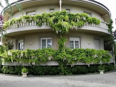 Maison spacieuse avec piscine et jardin à Congosto - Photo 13