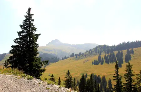 Appartement confortable à Thollon-les-Mémises avec vue - Photo 19