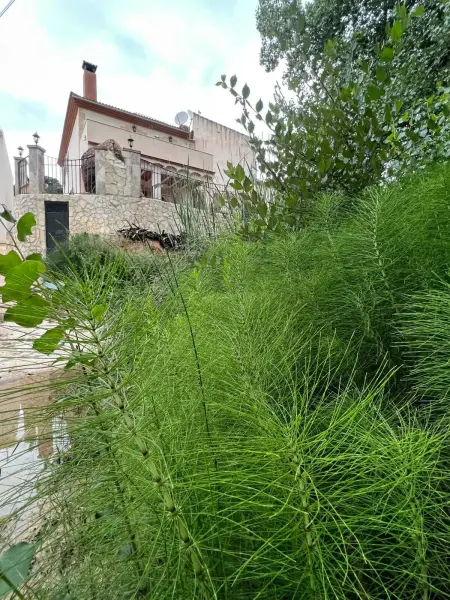 Maison spacieuse Zambra + Piscine, Villa 8 personnes à Rute - Photo 15