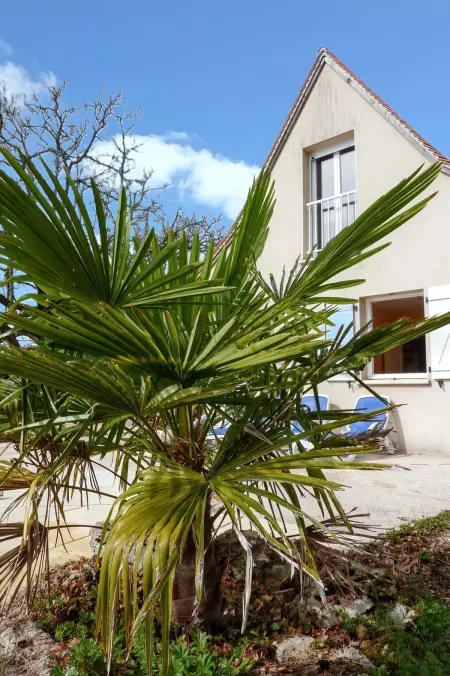 Villa ravissante à Loubressac avec piscine privée - Photo 9